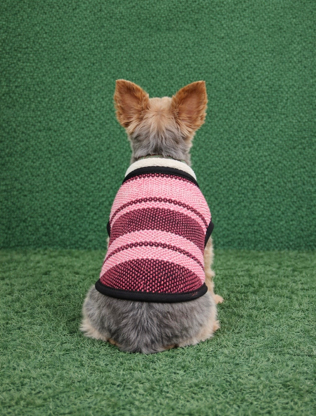 Dog Poncho Vest