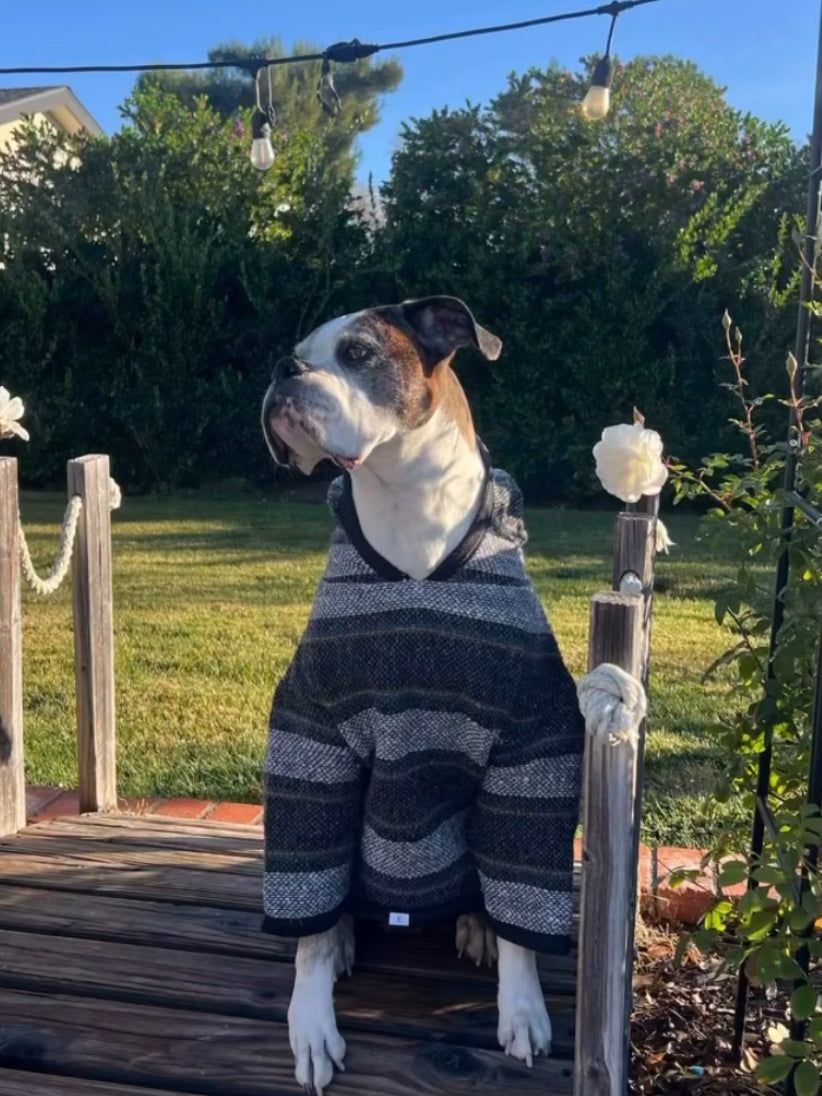 Dog Poncho