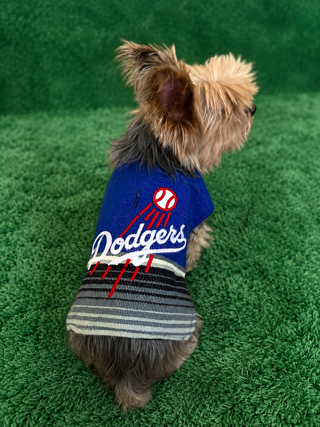 LA Baseball Serape