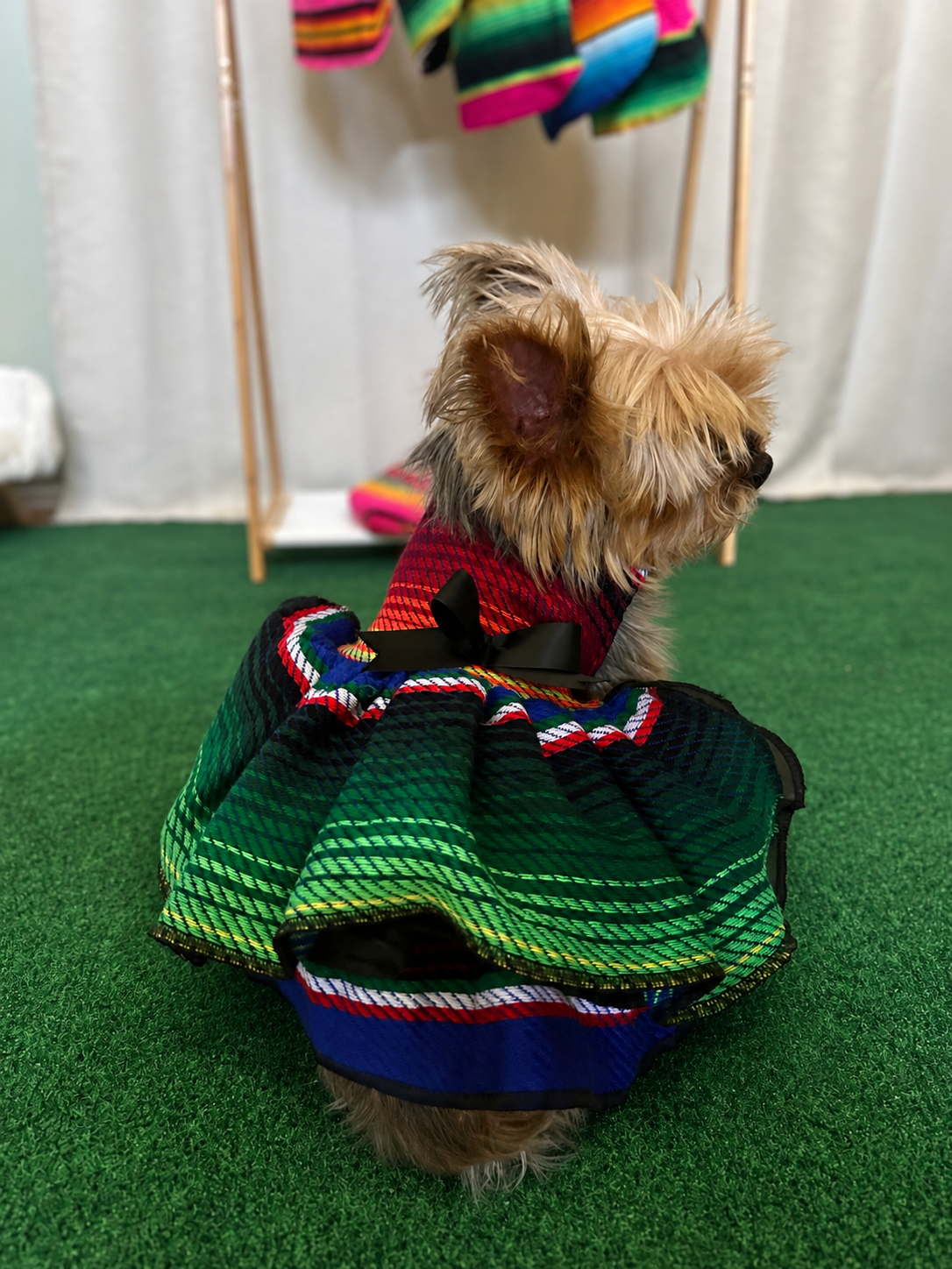 Serape Dresses