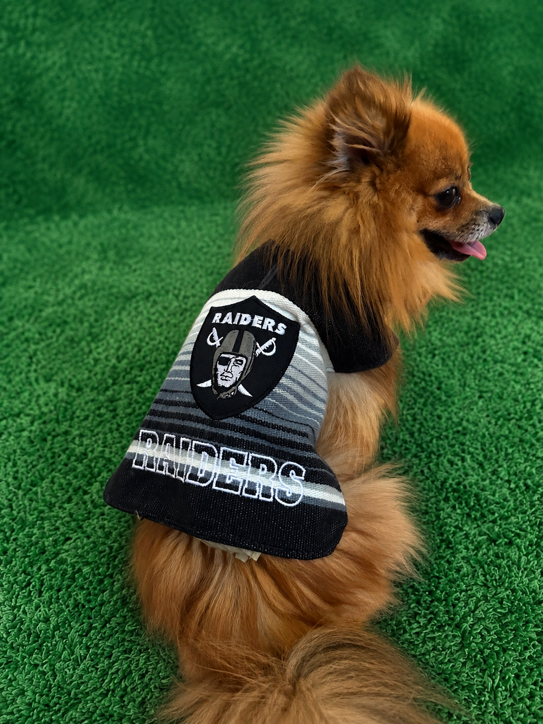LA Football Serape