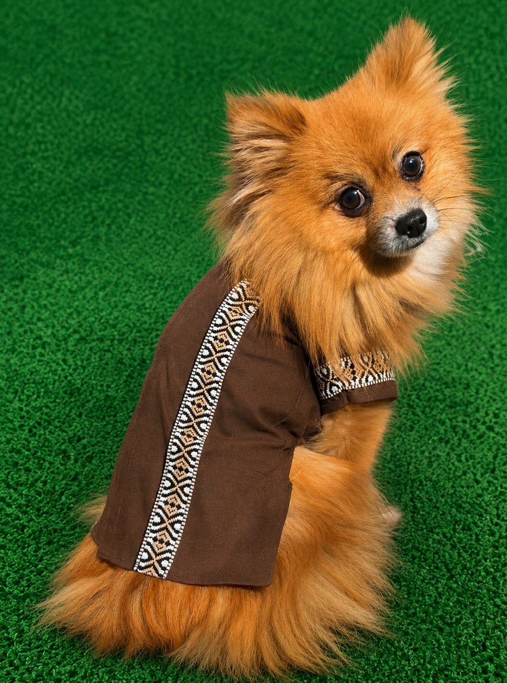 Classic Guayabera
