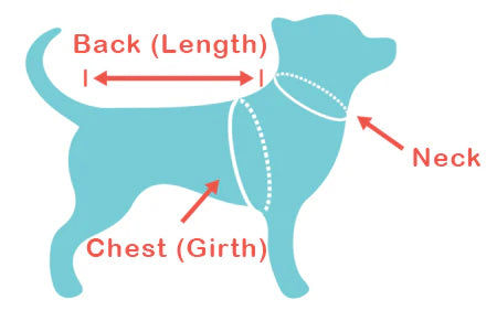 Mandil Dog Apron
