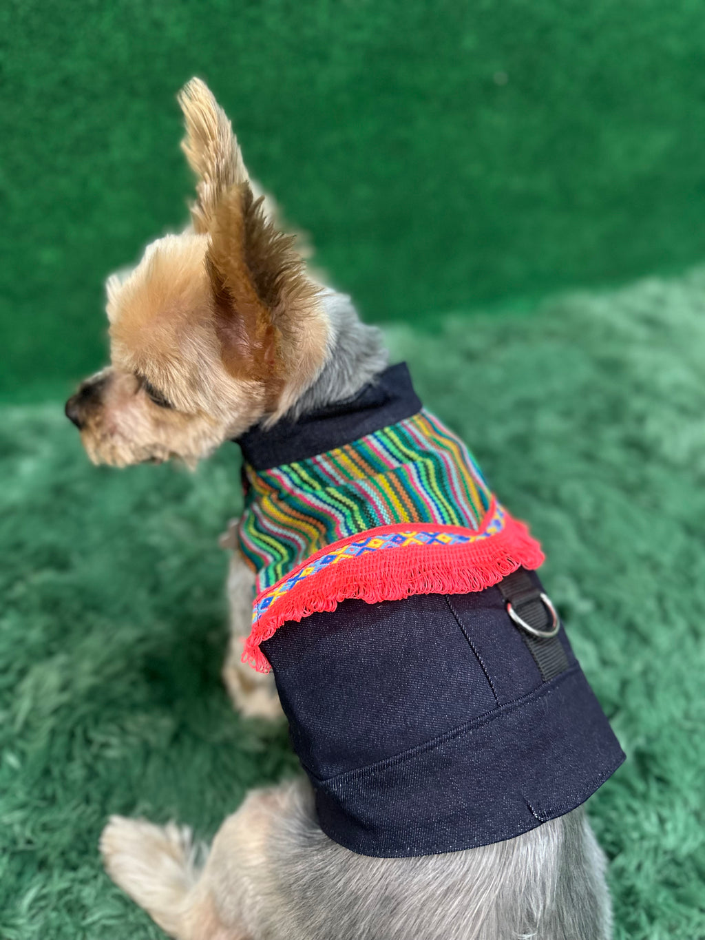 Fiesta Serape Harness