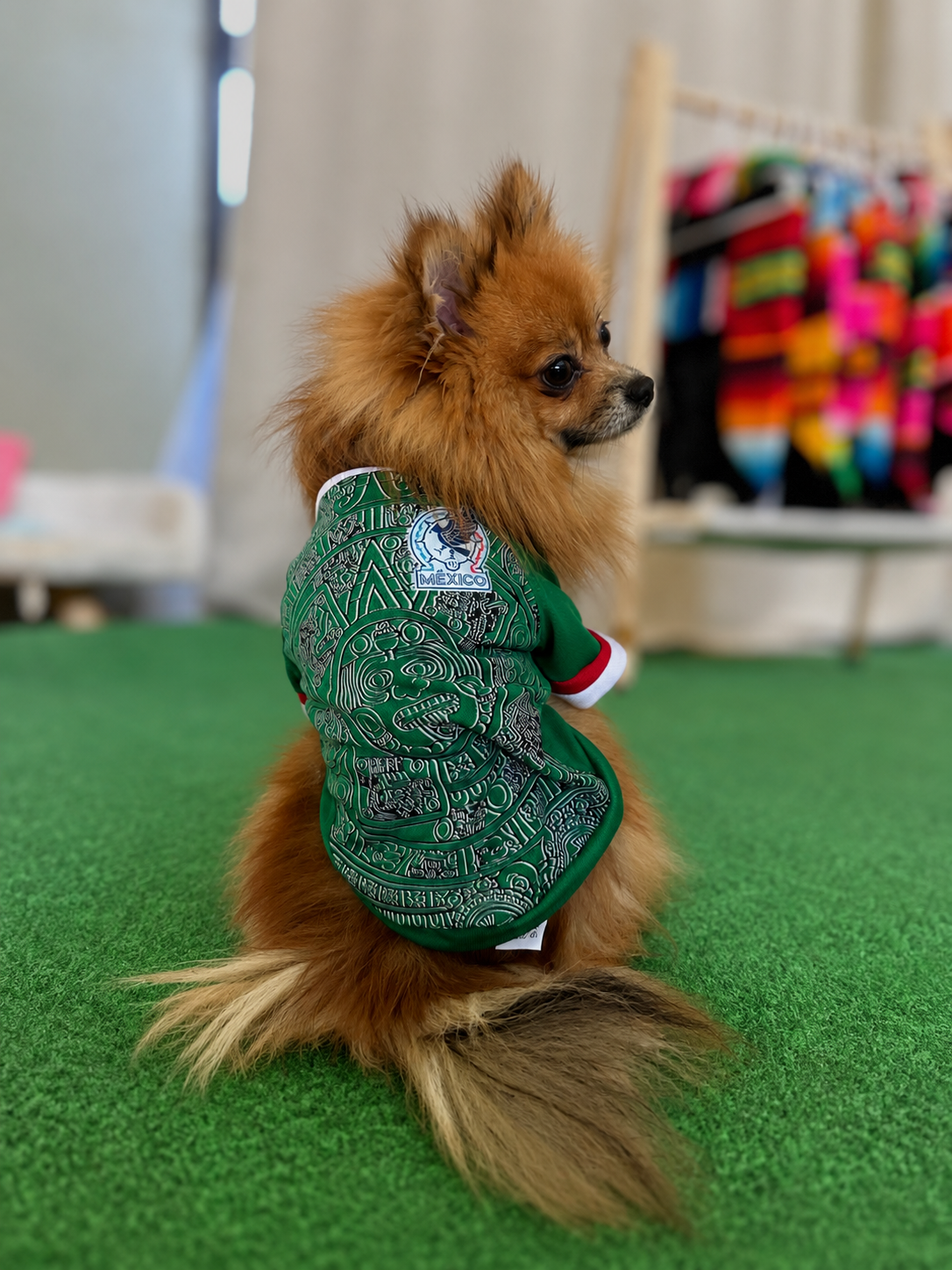Mexico Mundial Jerseys