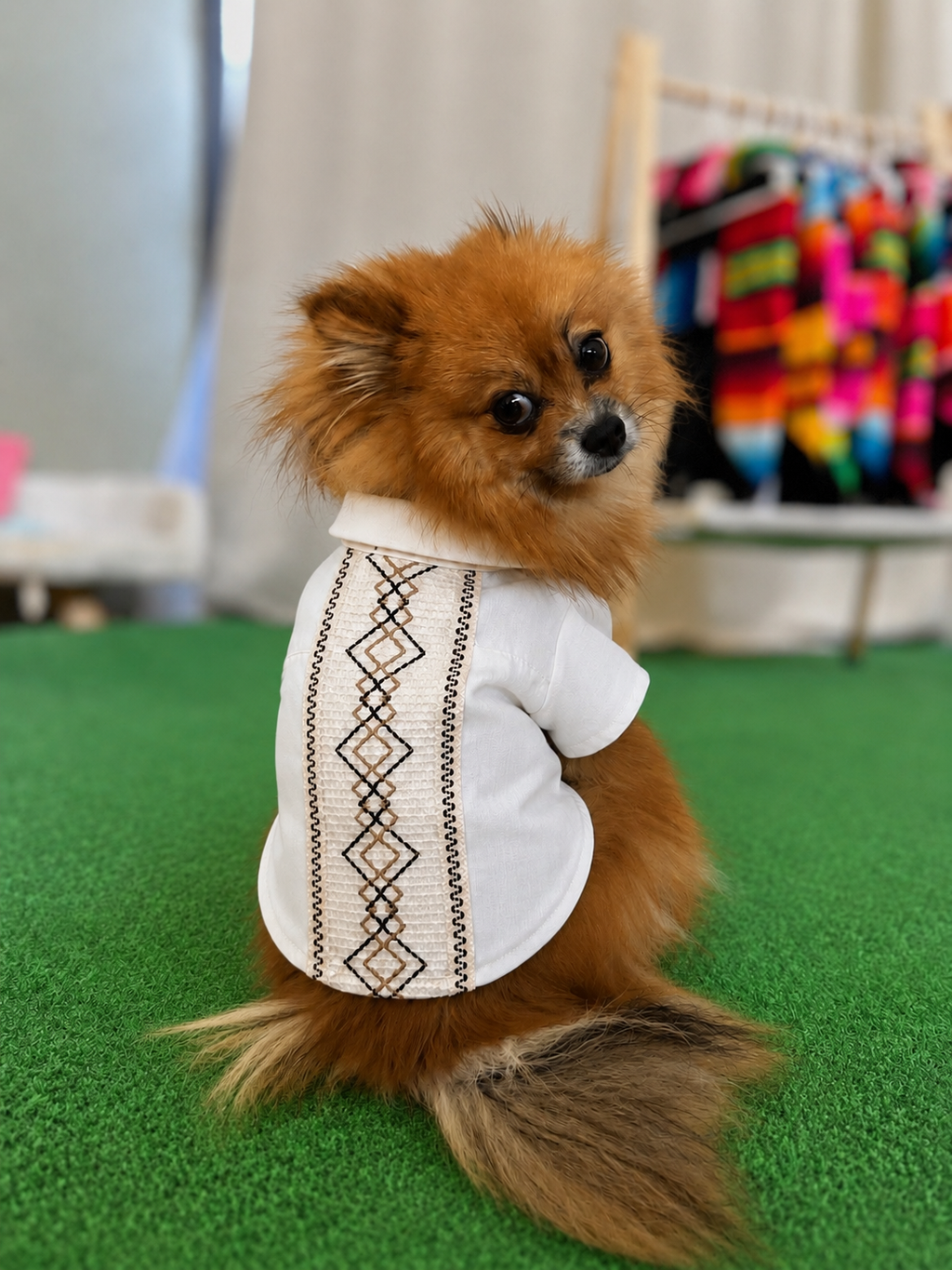 Traditional Guayabera