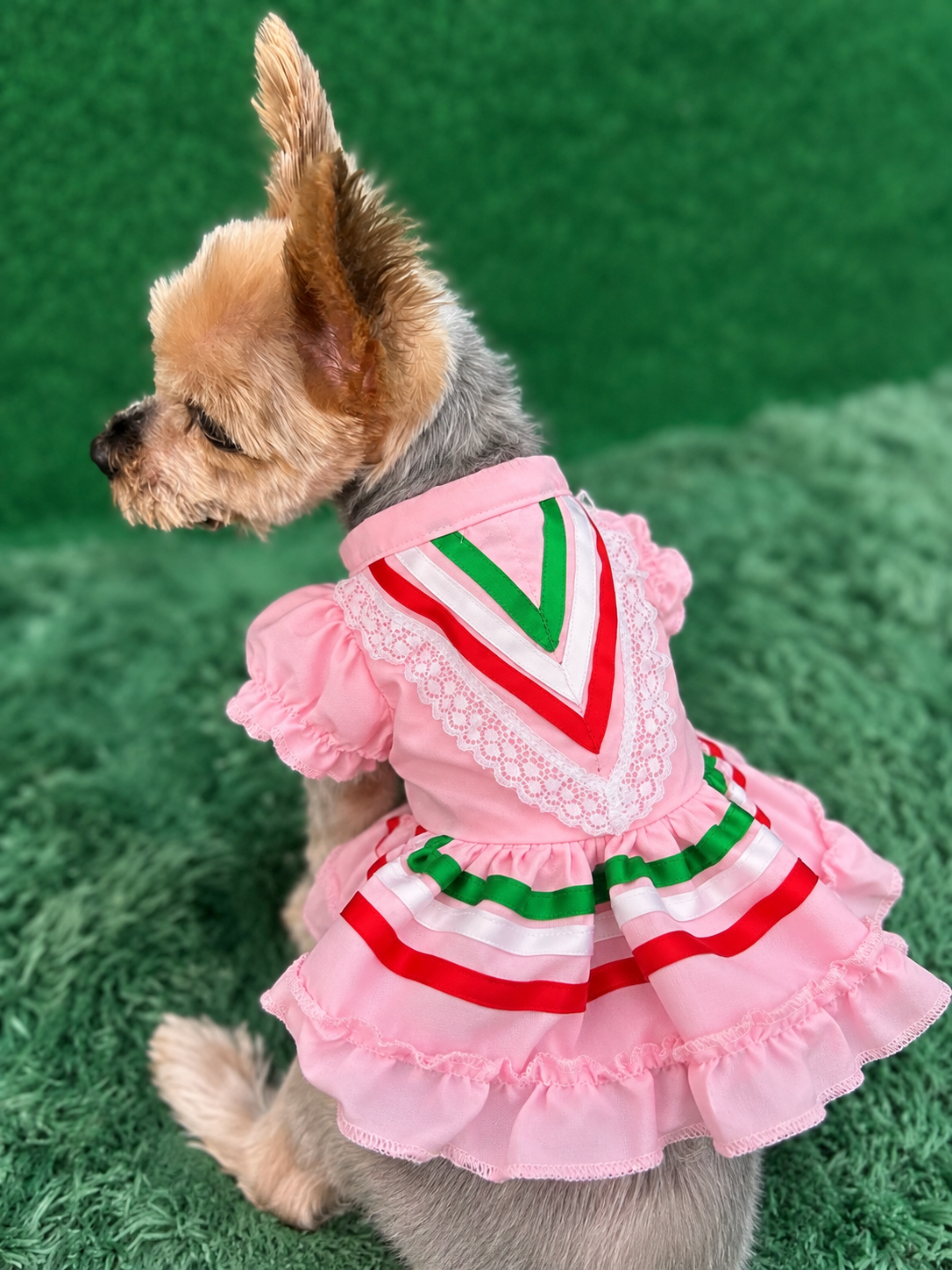 Folklorico Dress