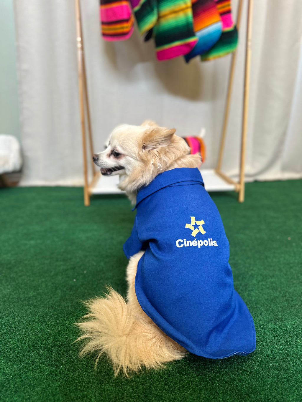 Cinepolis shirts
