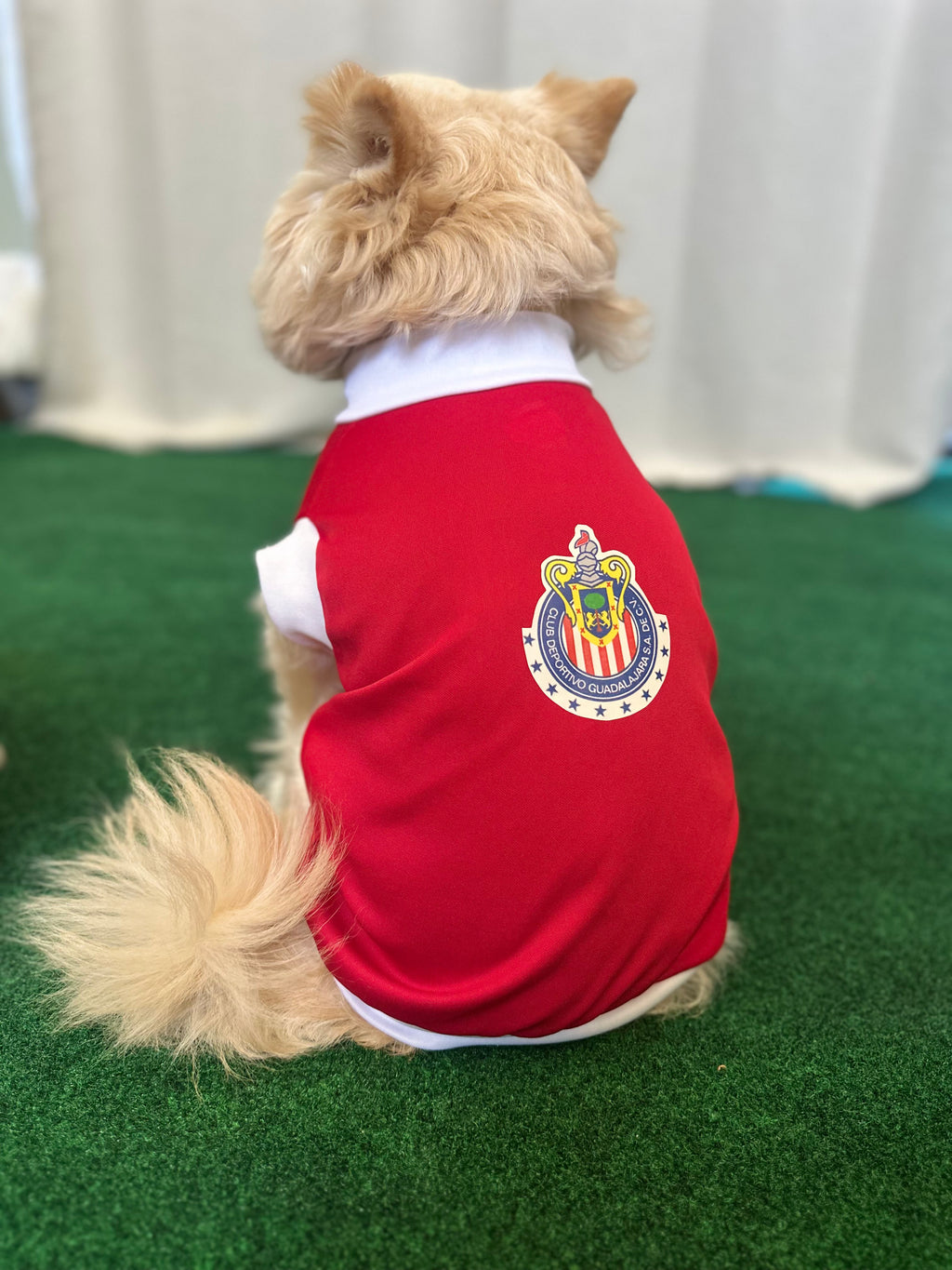 Chivas Dog Jersey