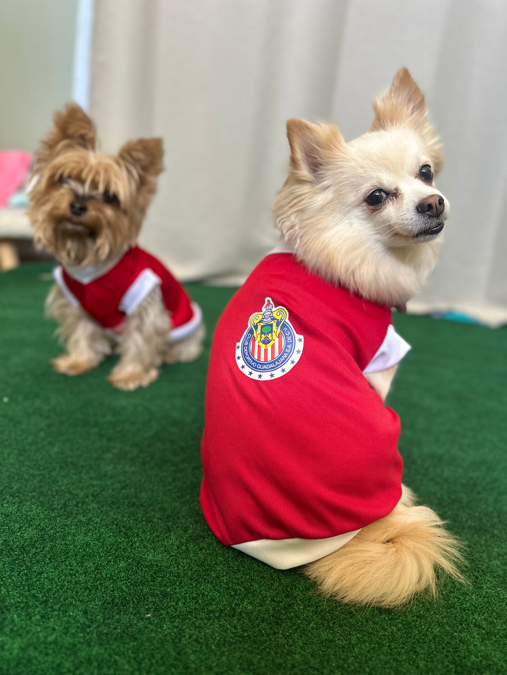 Chivas Dog Jersey