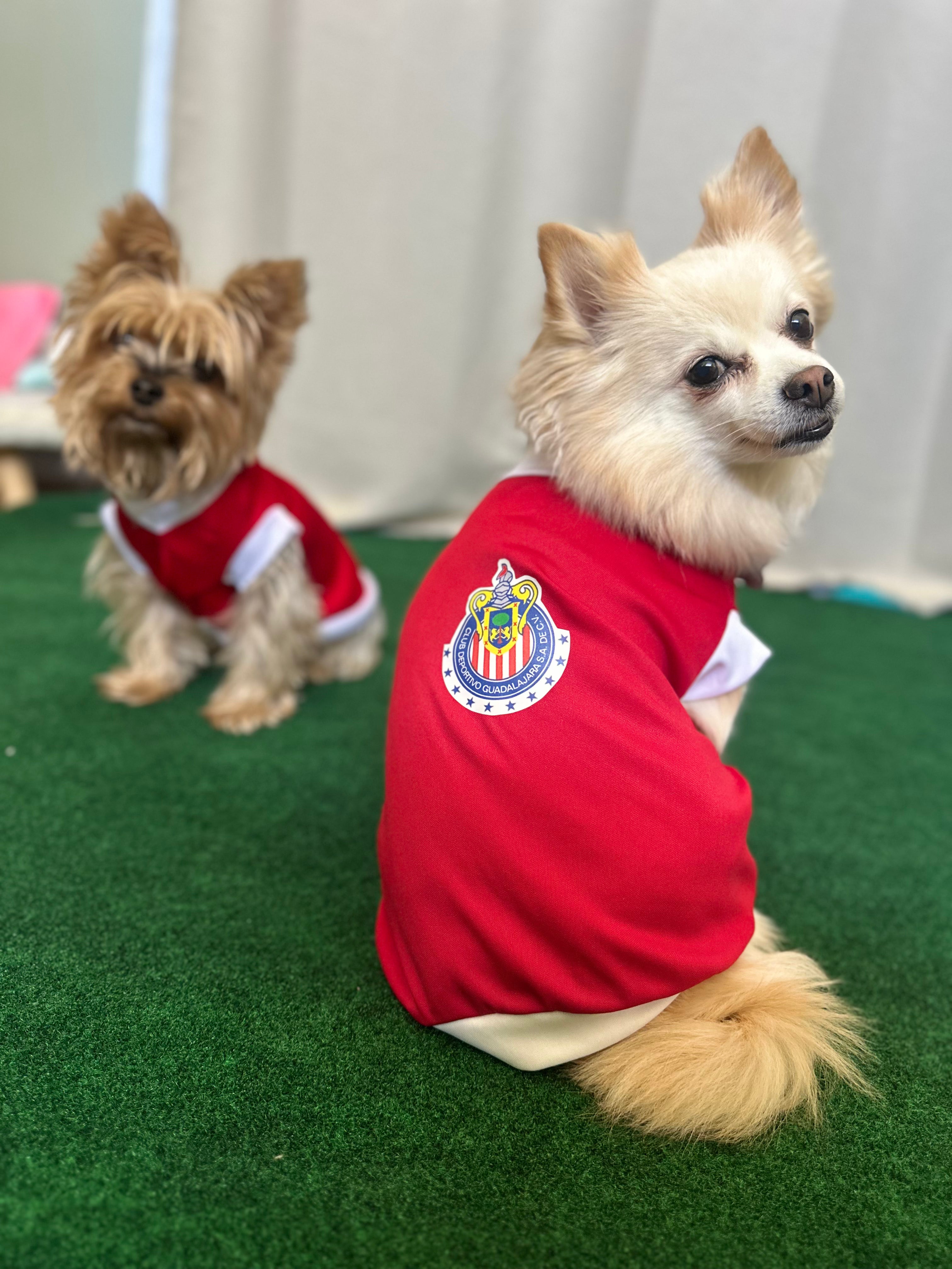Chivas Dog Jersey