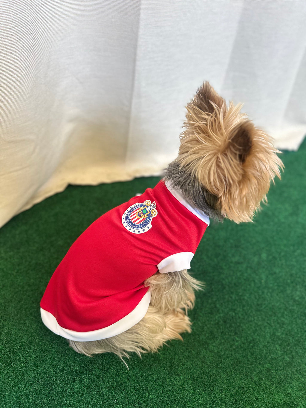 Chivas Dog Jersey
