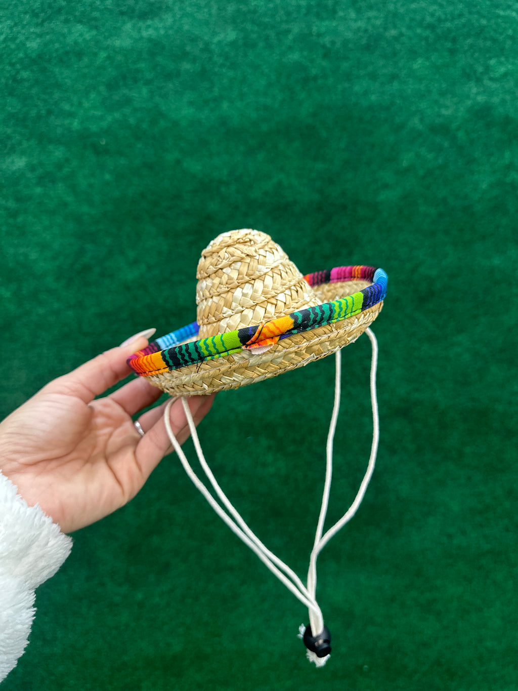 Dog Straw Hat Sombrero