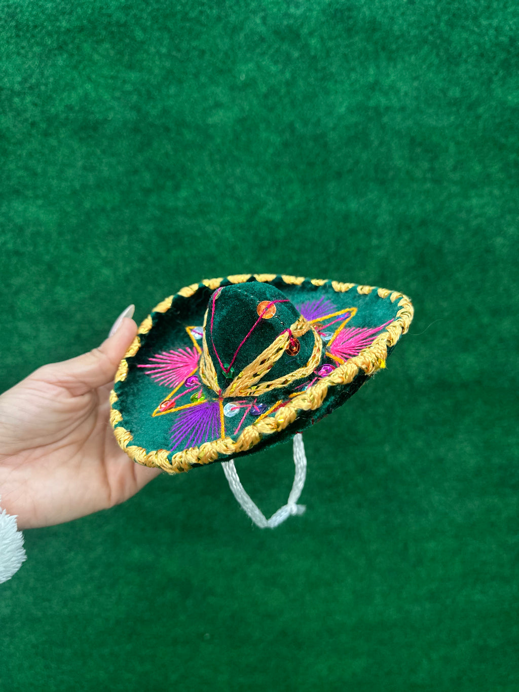 Dog Mariachi Sombrero