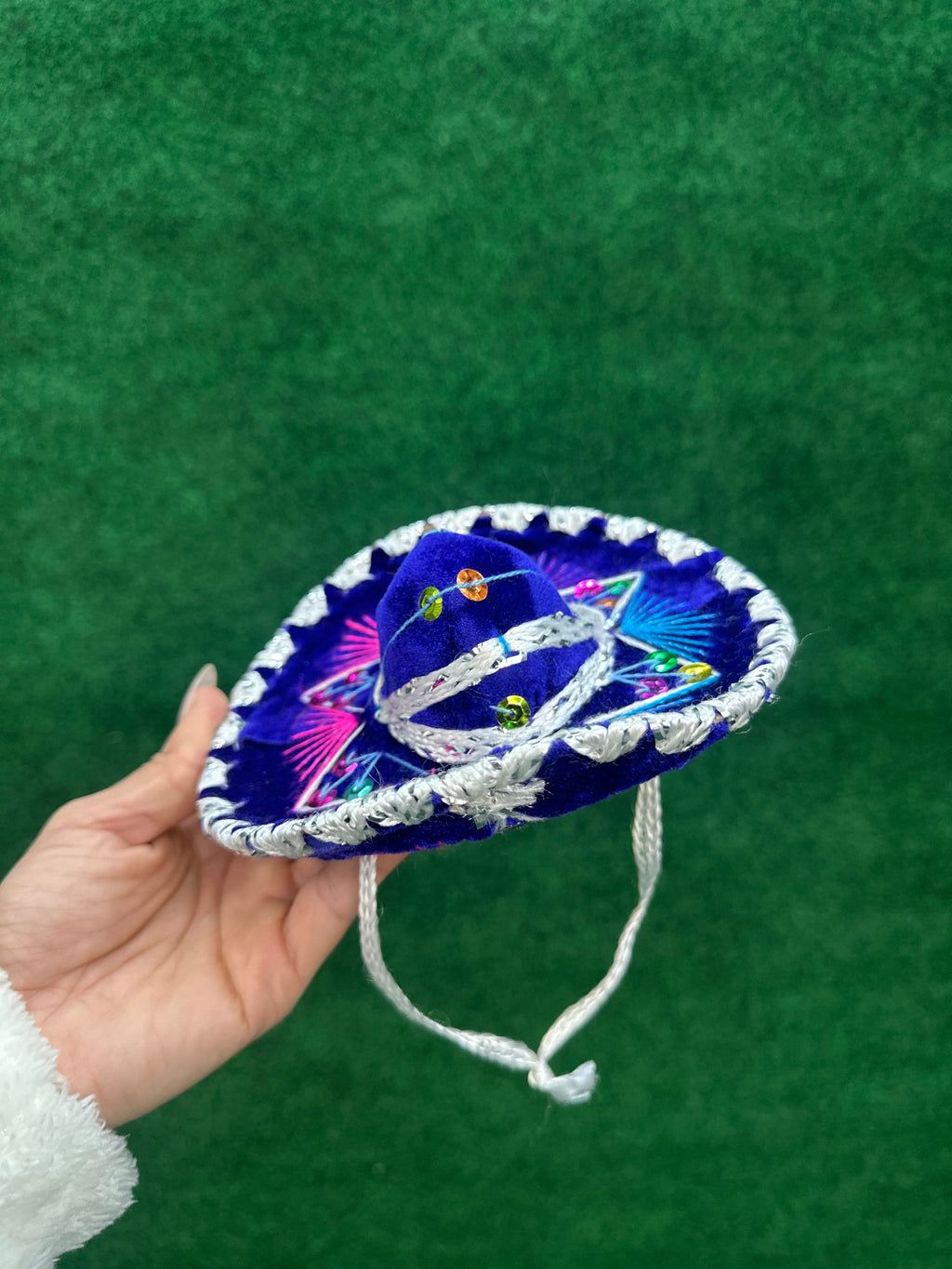 Dog Mariachi Sombrero