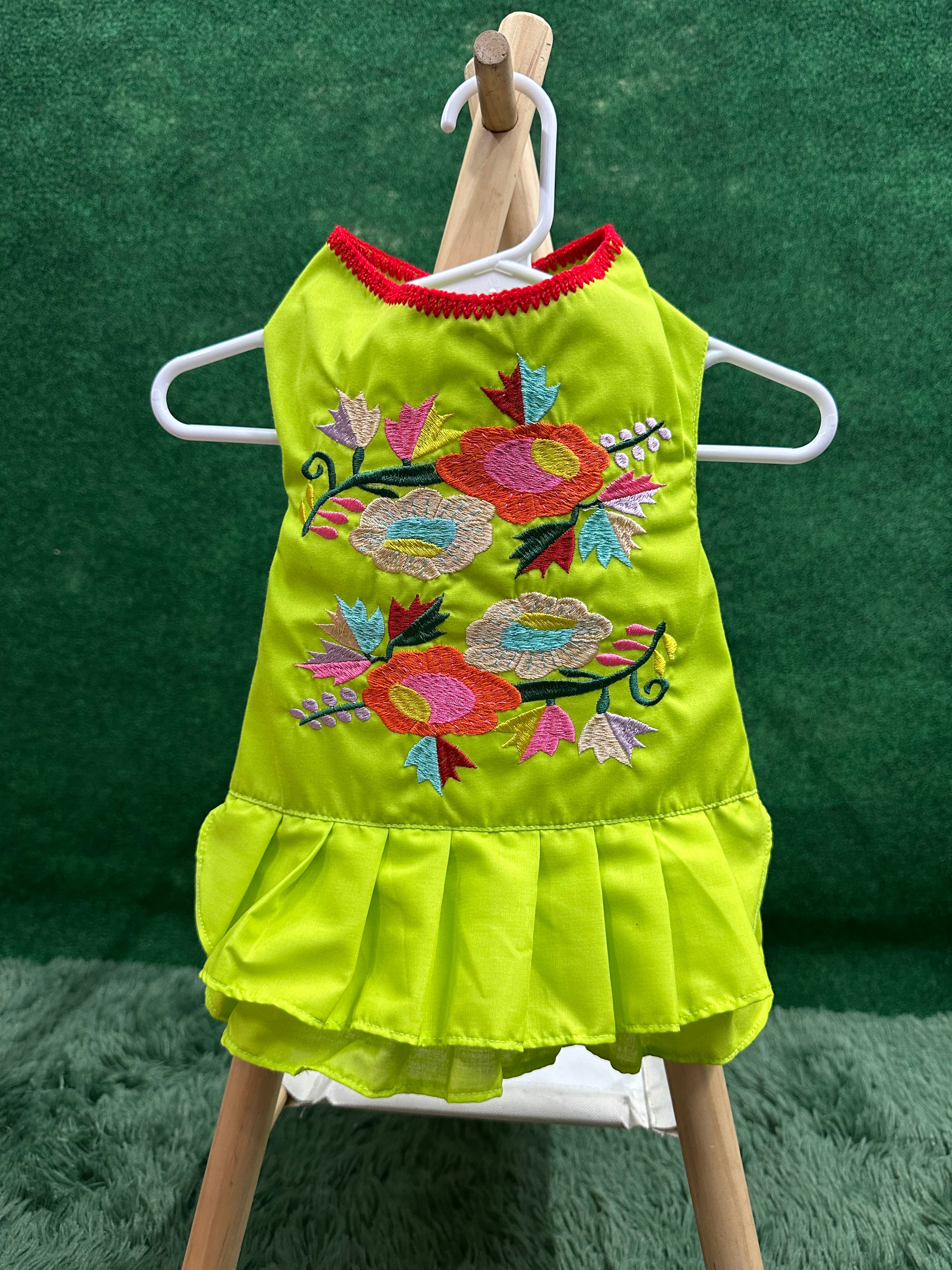 Embroidered Dress