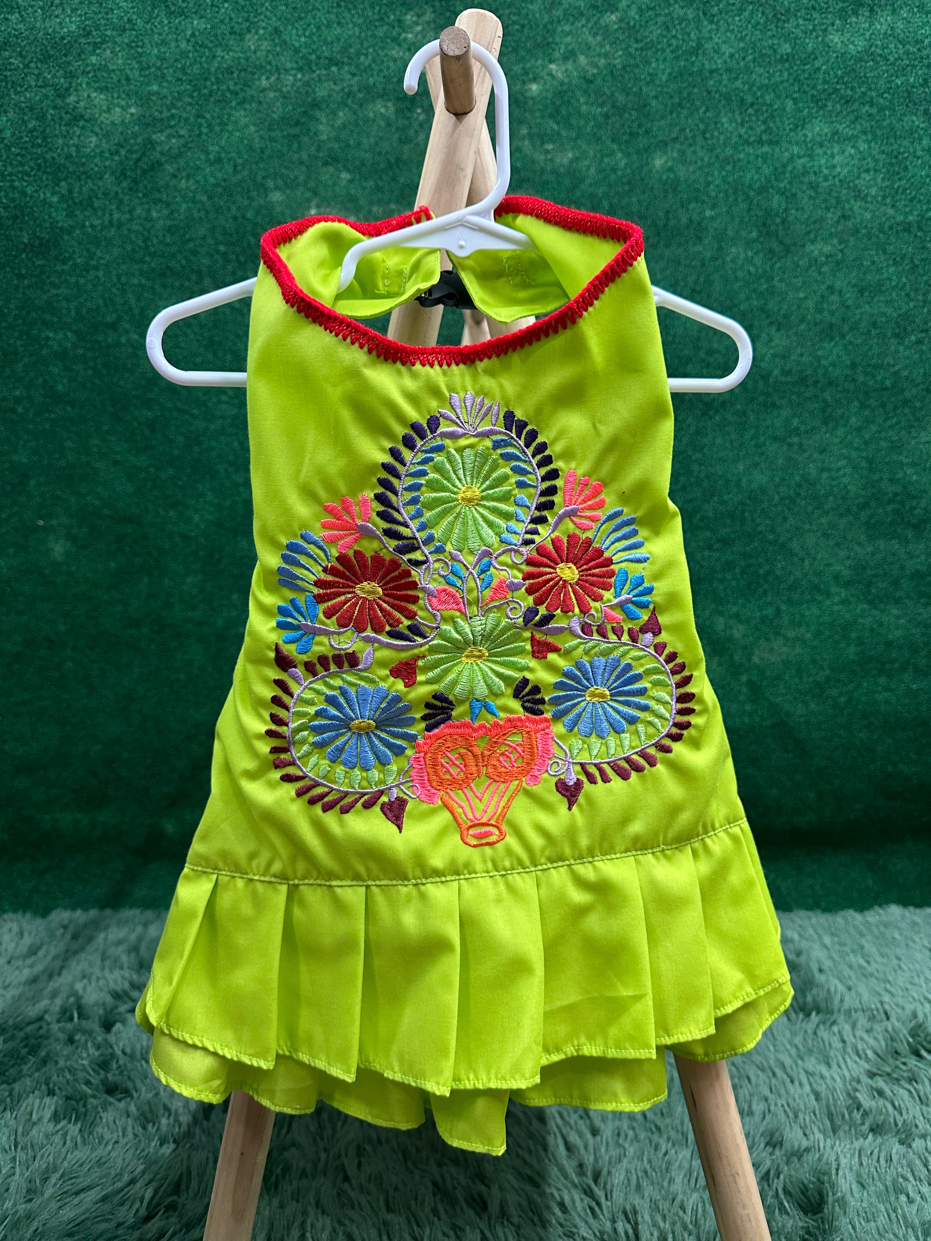 Embroidered Dress