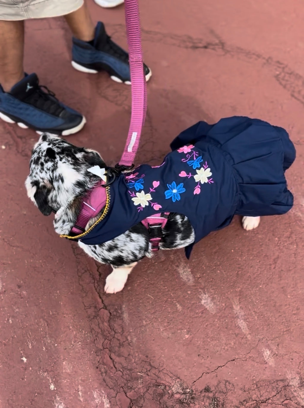 Embroidered Dress